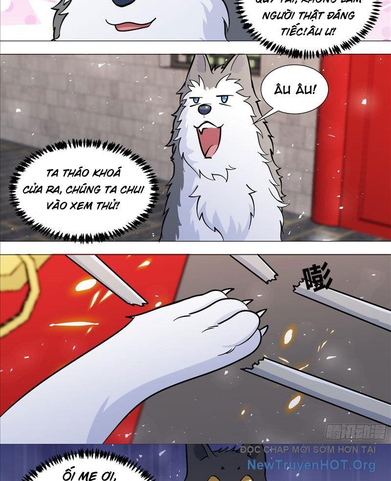Trọng Sinh Thành Chó Của Nữ Thần - Chapter 388 - Page 7