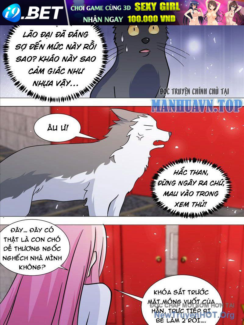 Trọng Sinh Thành Chó Của Nữ Thần - Chapter 388 - Page 8