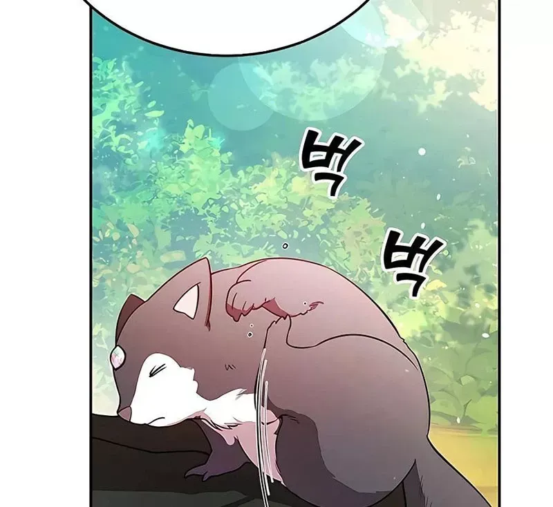 Tôi May Mắn Triệu Hồi Được Tinh Linh Hộ Vệ Hạng 10 - Chapter 15 - Page 137