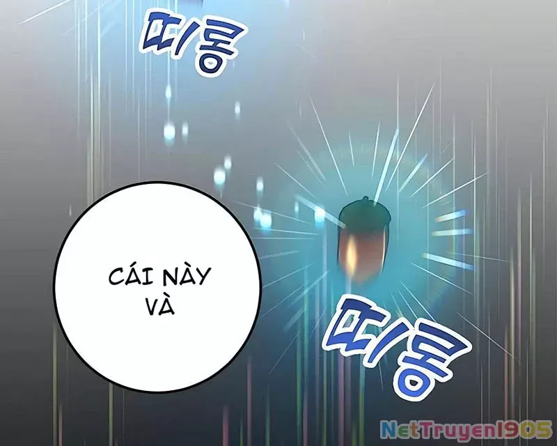 Tôi May Mắn Triệu Hồi Được Tinh Linh Hộ Vệ Hạng 10 - Chapter 15 - Page 37