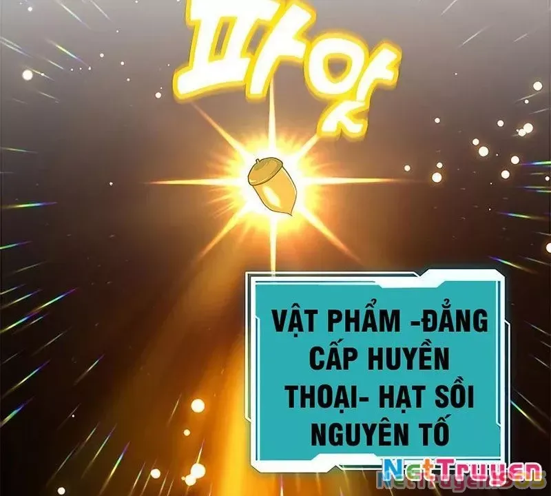 Tôi May Mắn Triệu Hồi Được Tinh Linh Hộ Vệ Hạng 10 - Chapter 15 - Page 70