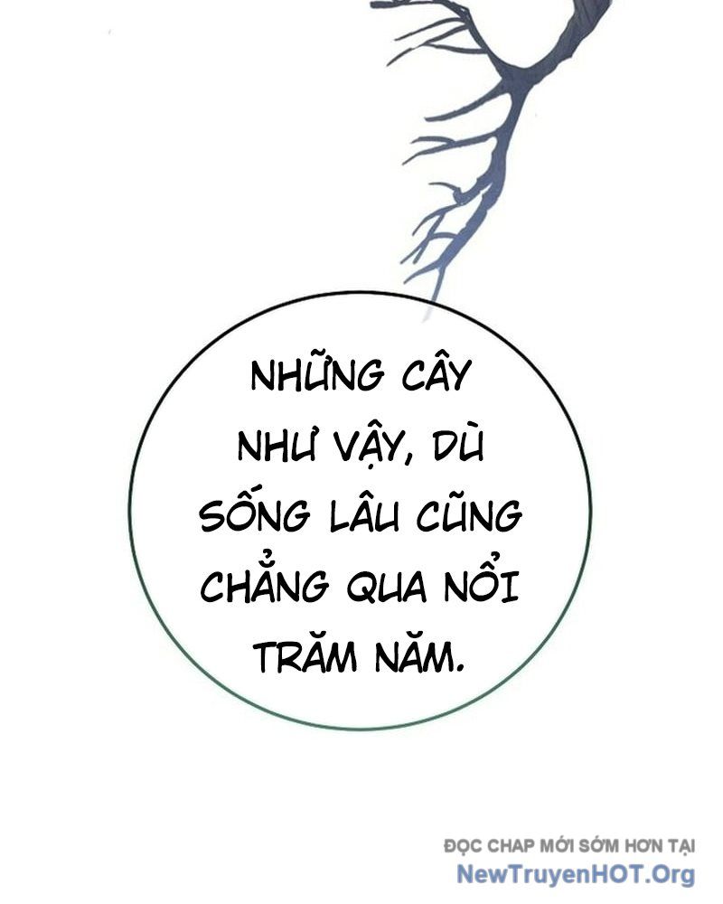 Hồi Sinh Huyết Mạch Nam Cung - Chapter 20 - Page 32