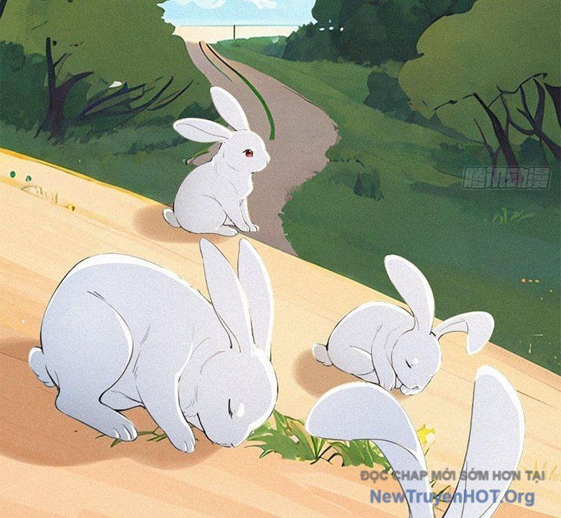 Mạt Thế Chi Đỉnh, Đối Kháng Với Quái Dị Cấp Diệt Thế! - Chapter 21 - Page 30