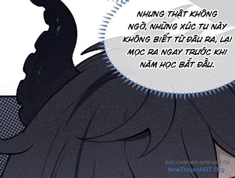 Sau Khi Ta Biến Thành Quái Vật Xúc Tu, Các Cô Ấy Càng Điên Cuồng Hơn! - Chapter 2 - Page 118