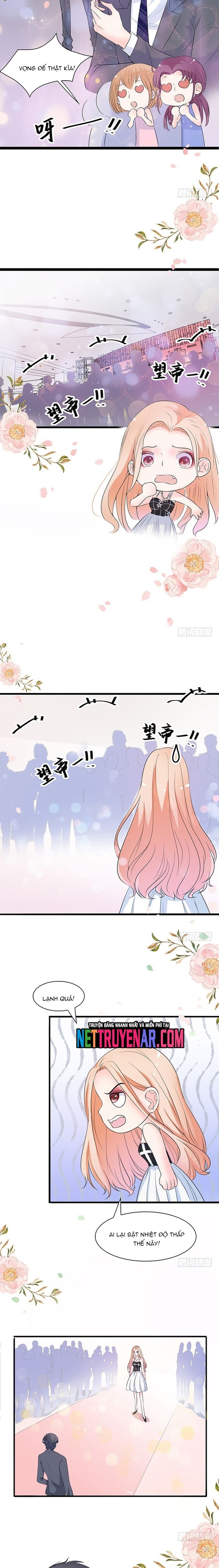 Chu Tiên Sinh, Ép Cưới Phạm Pháp Đó - Chapter 36 - Page 3