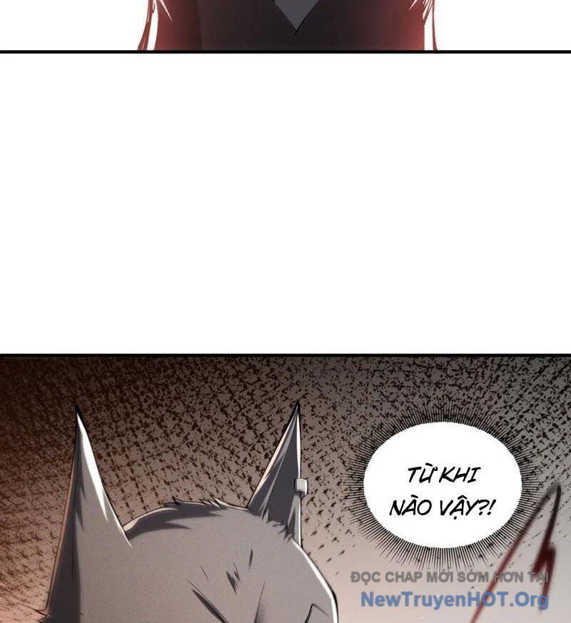 Ta Thăng Cấp Cùng Tai Ách - Chapter 48 - Page 8