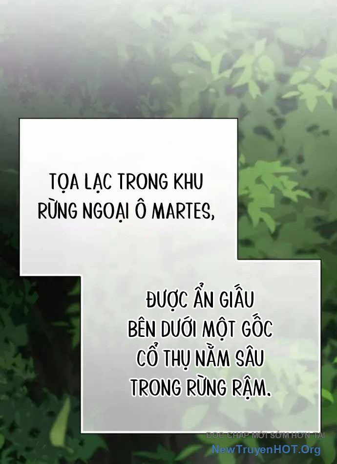 Pháp Sư Thiên Tài Phá Vỡ Giới Hạn - Chapter 17 - Page 11