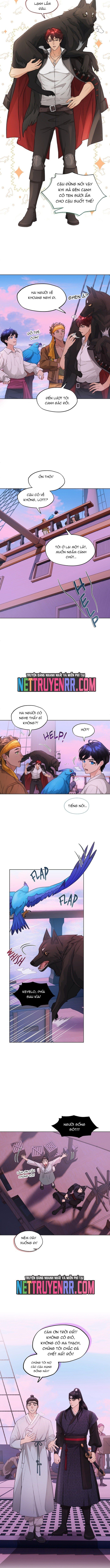 Hải Âu & Sói Hoang - Chapter 21 - Page 3