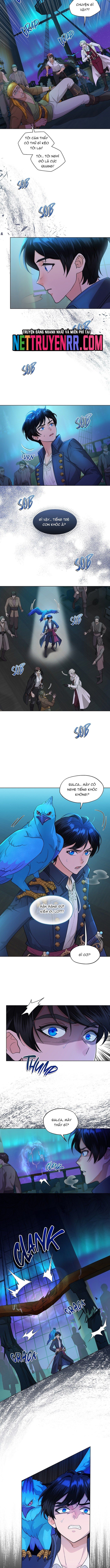 Hải Âu & Sói Hoang - Chapter 21 - Page 8