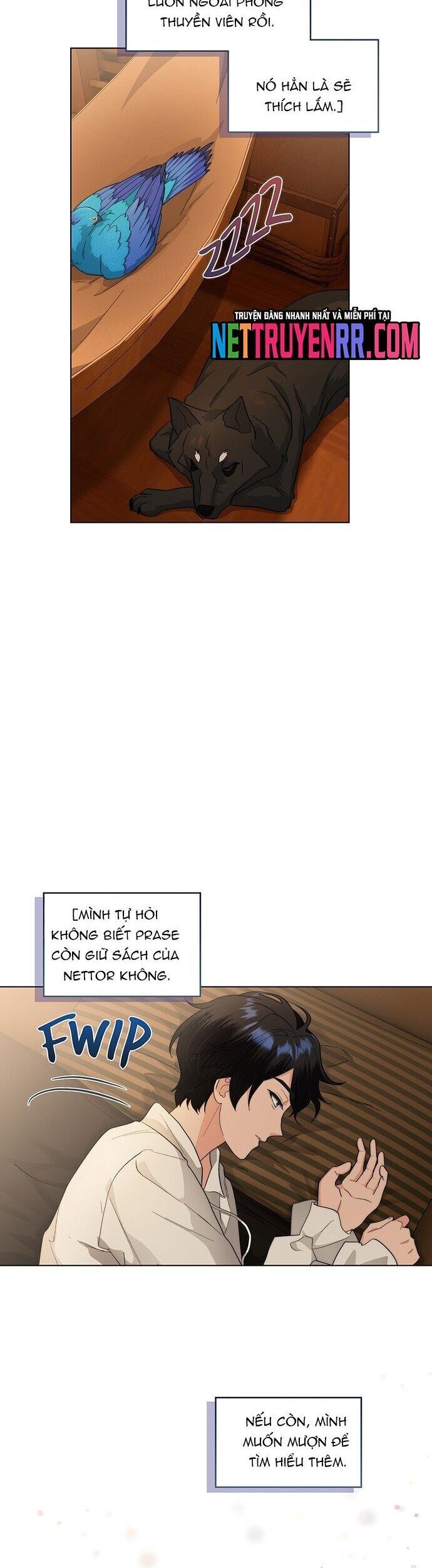 Hải Âu & Sói Hoang - Chapter 24 - Page 21