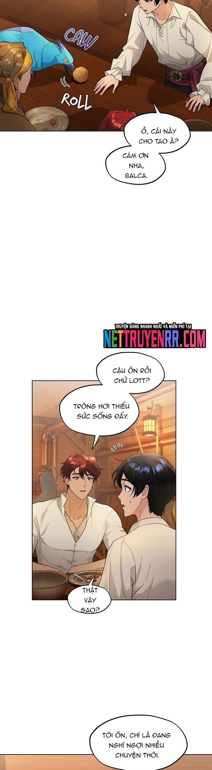 Hải Âu & Sói Hoang - Chapter 24 - Page 25