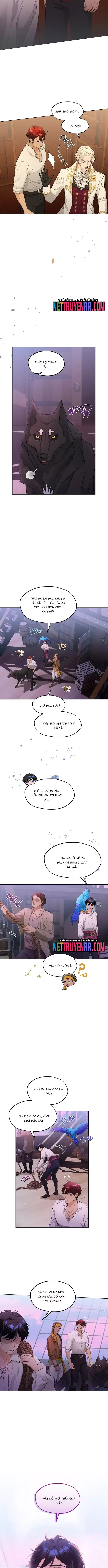 Hải Âu & Sói Hoang - Chapter 26 - Page 6