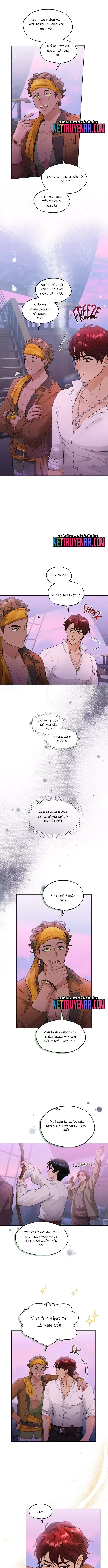 Hải Âu & Sói Hoang - Chapter 26 - Page 8