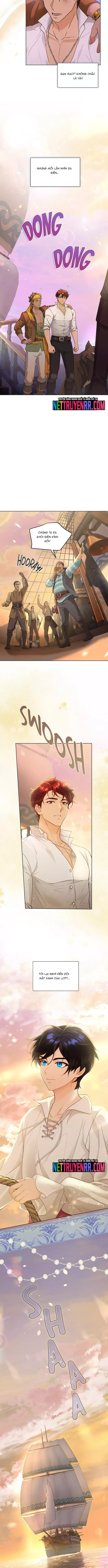 Hải Âu & Sói Hoang - Chapter 26 - Page 9