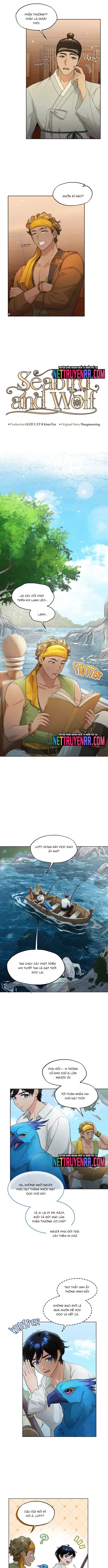 Hải Âu & Sói Hoang - Chapter 27 - Page 4