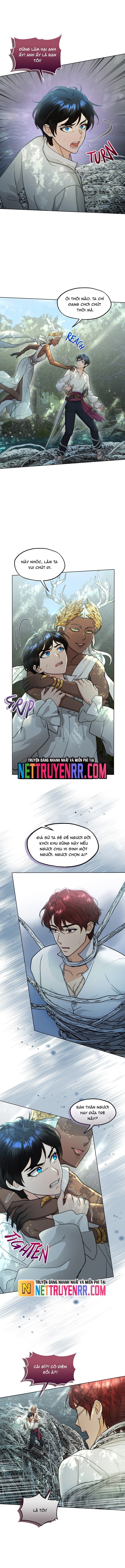 Hải Âu & Sói Hoang - Chapter 30 - Page 8