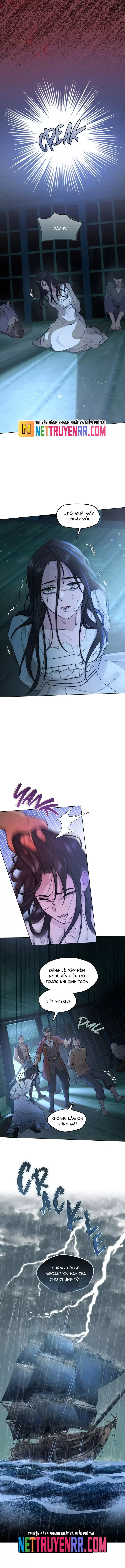 Hải Âu & Sói Hoang - Chapter 32 - Page 11