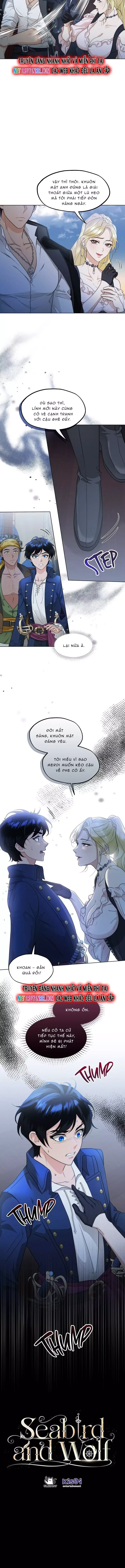 Hải Âu & Sói Hoang - Chapter 34 - Page 11