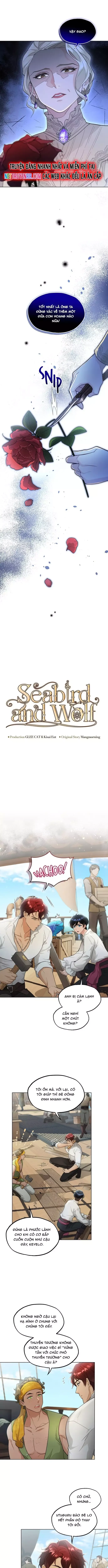 Hải Âu & Sói Hoang - Chapter 36 - Page 4