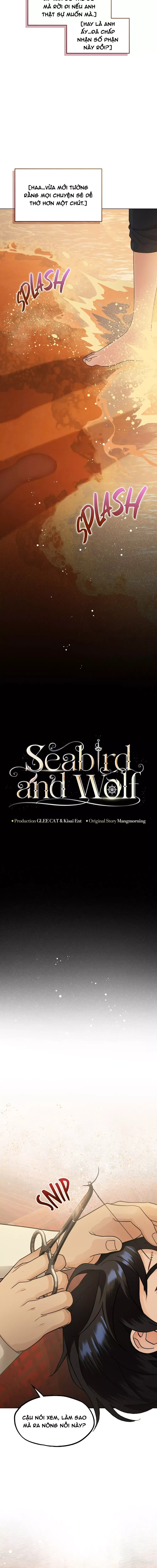 Hải Âu & Sói Hoang - Chapter 39 - Page 5