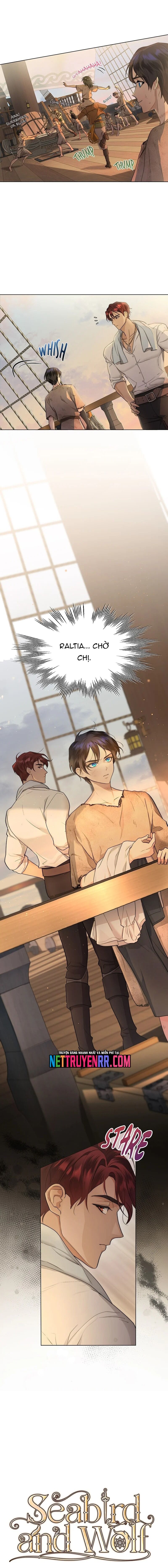 Hải Âu & Sói Hoang - Chapter 4 - Page 5