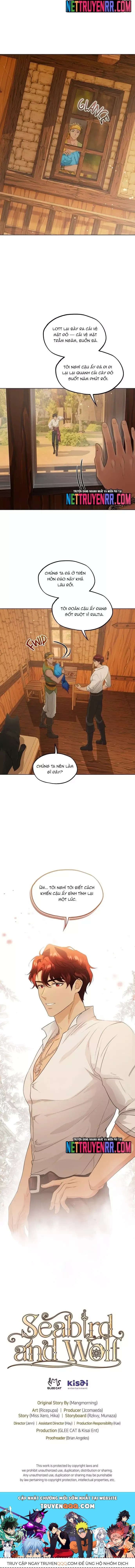Hải Âu & Sói Hoang - Chapter 40 - Page 11