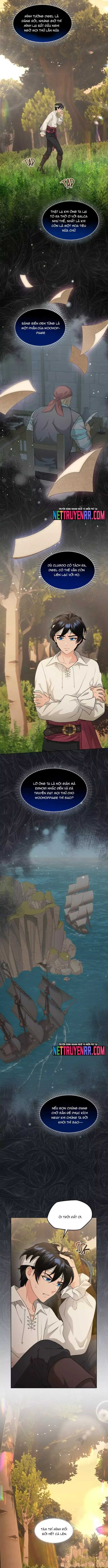 Hải Âu & Sói Hoang - Chapter 40 - Page 9