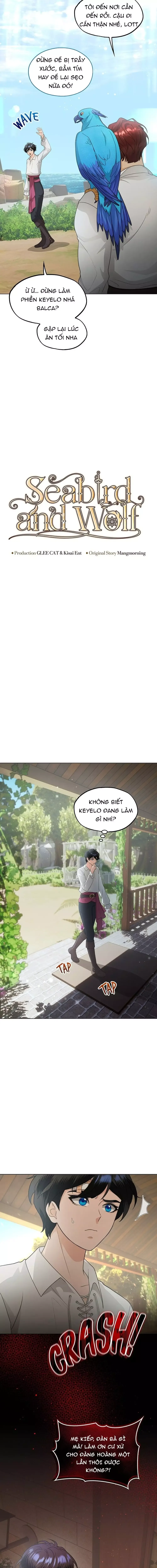 Hải Âu & Sói Hoang - Chapter 41 - Page 3