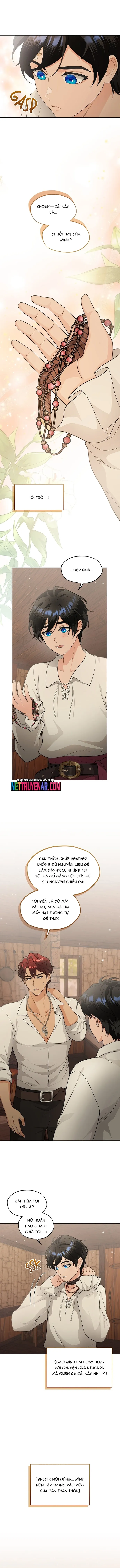 Hải Âu & Sói Hoang - Chapter 42 - Page 3