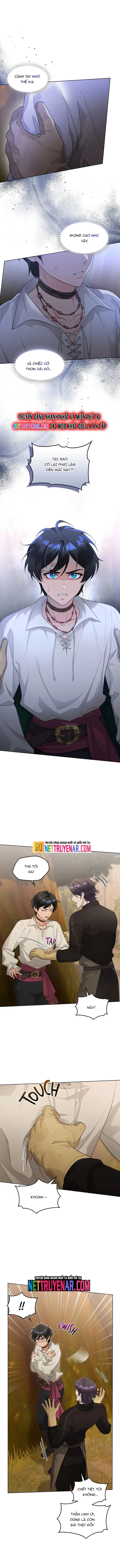 Hải Âu & Sói Hoang - Chapter 43 - Page 3