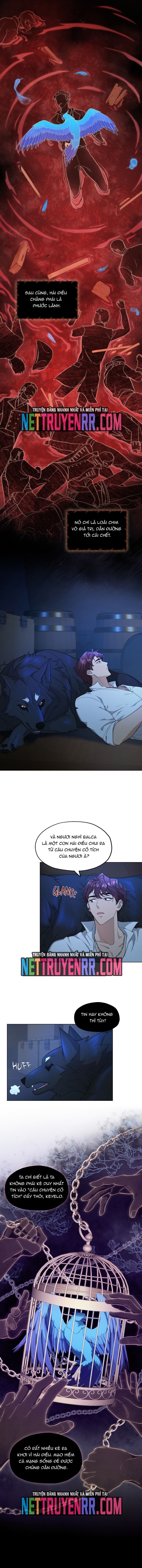 Hải Âu & Sói Hoang - Chapter 8 - Page 6