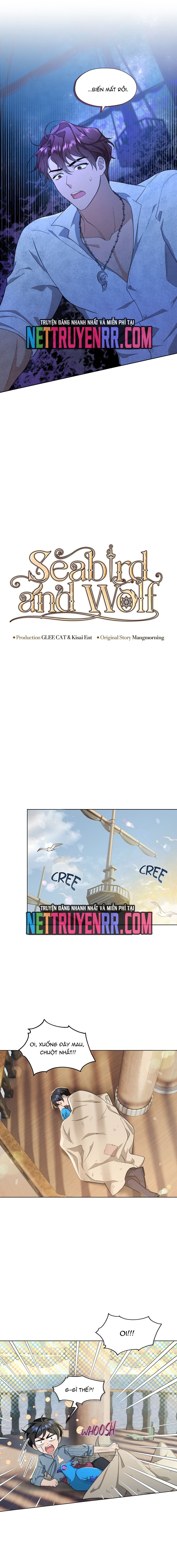 Hải Âu & Sói Hoang - Chapter 8 - Page 8