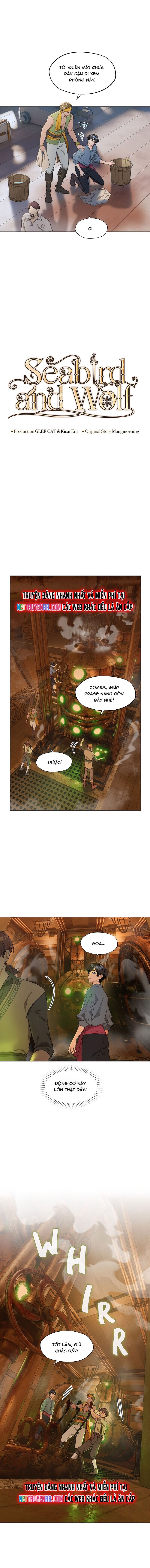 Hải Âu & Sói Hoang - Chapter 9 - Page 8