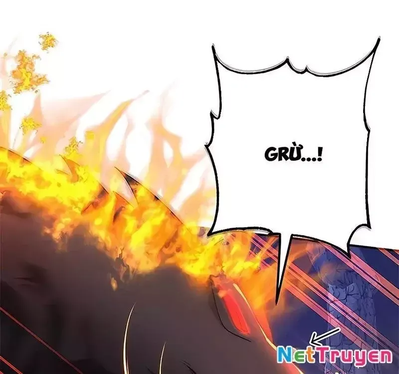 Tôi May Mắn Triệu Hồi Được Tinh Linh Hộ Vệ Hạng 10 - Chapter 16 - Page 101