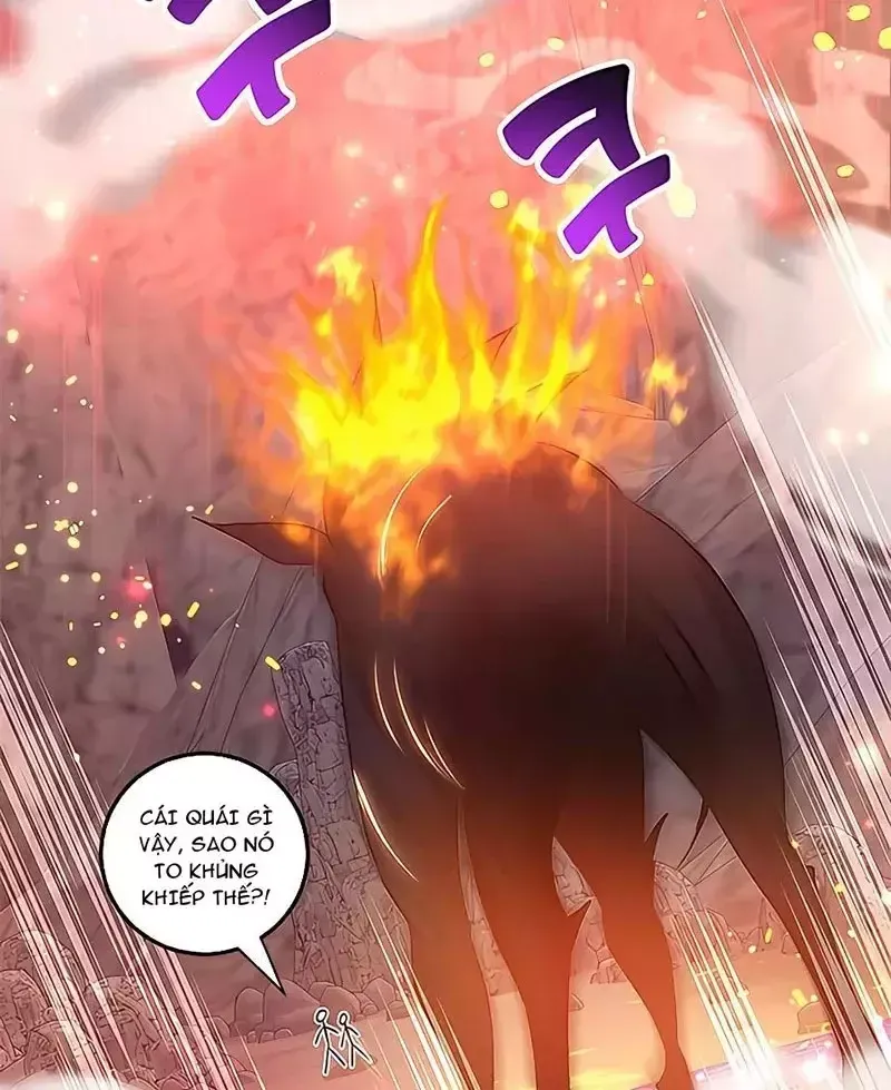 Tôi May Mắn Triệu Hồi Được Tinh Linh Hộ Vệ Hạng 10 - Chapter 16 - Page 70