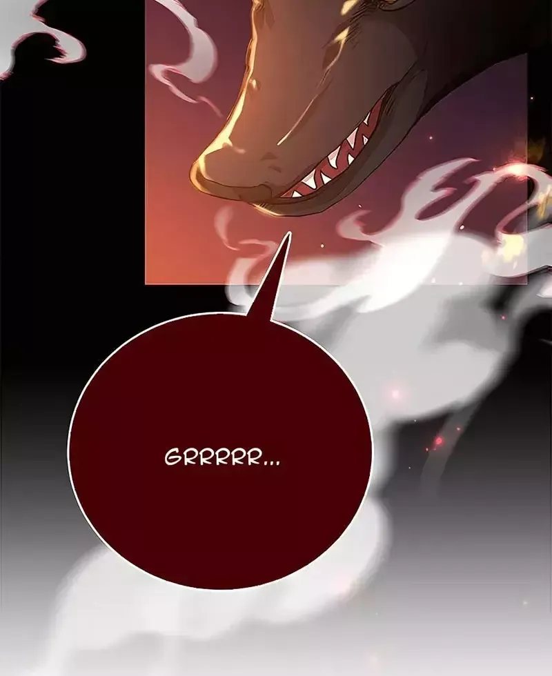 Tôi May Mắn Triệu Hồi Được Tinh Linh Hộ Vệ Hạng 10 - Chapter 16 - Page 72