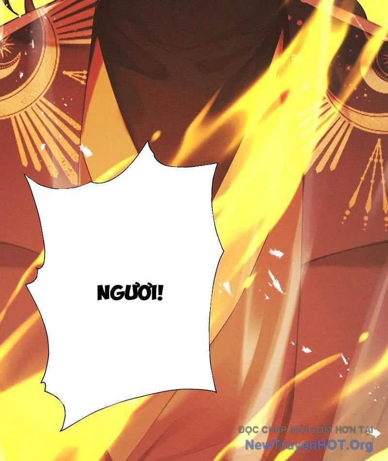 Gặp Mạnh Thì Càng Mạnh, Tu Vi Của Ta Không Giới Hạn - Chapter 68 - Page 12