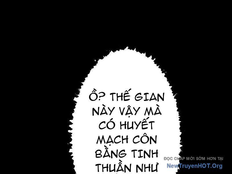 Gặp Mạnh Thì Càng Mạnh, Tu Vi Của Ta Không Giới Hạn - Chapter 71 - Page 24