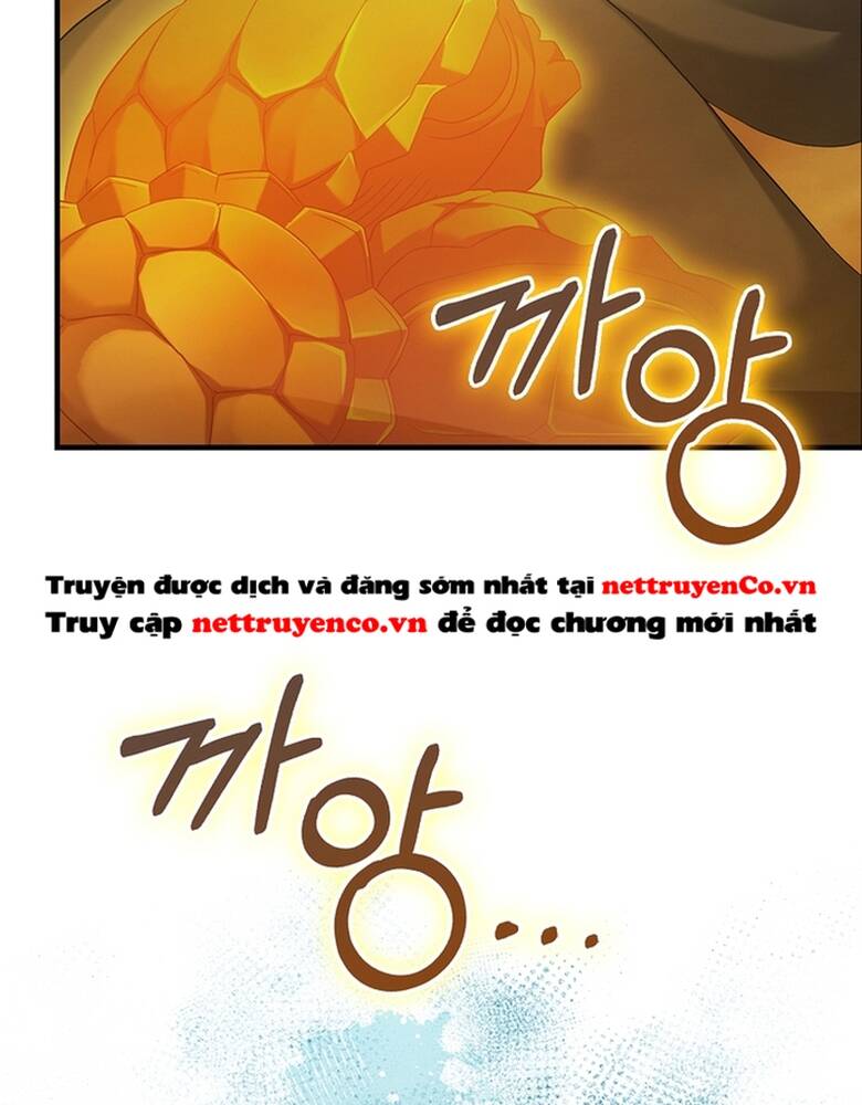 Người Chơi Có Thiên Phú Nghịch Thiên - Chapter 33 - Page 101