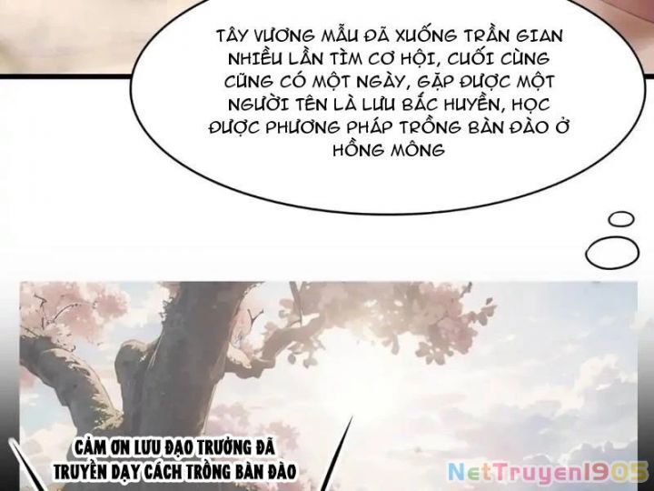 Trụ Vương Tái Sinh Không Muốn Làm Đại Phản Diện - Chapter 131 - Page 44
