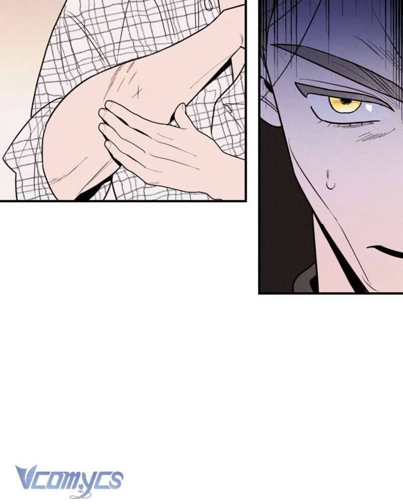 Tối Nay Tôi Là Người Được Cô Ấy Chọn - Chapter 1 - Page 221