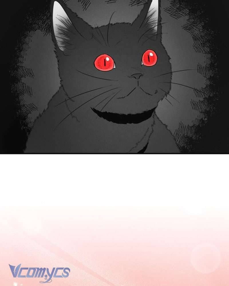 Tối Nay Tôi Là Người Được Cô Ấy Chọn - Chapter 2 - Page 137