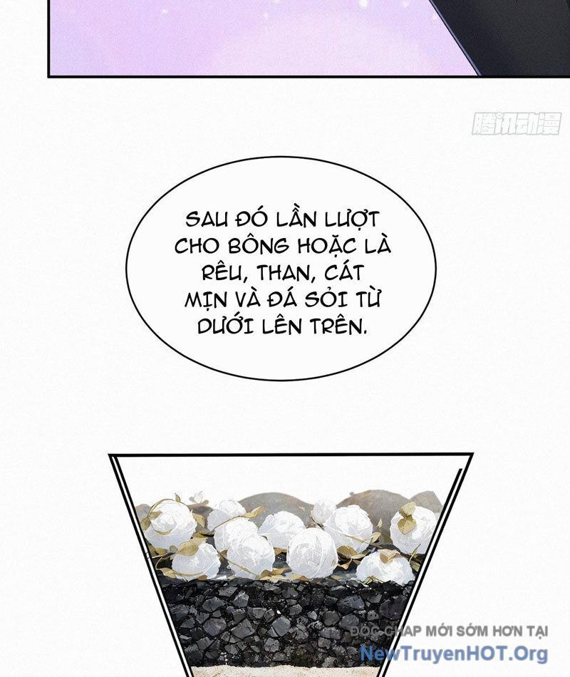 Mạt Thế Chi Đỉnh, Đối Kháng Với Quái Dị Cấp Diệt Thế! - Chapter 25 - Page 26