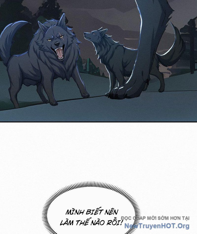 Mạt Thế Chi Đỉnh, Đối Kháng Với Quái Dị Cấp Diệt Thế! - Chapter 25 - Page 52