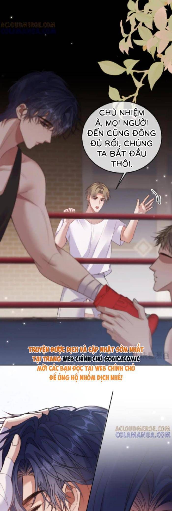 Trọng Sinh Trong Vòng Tay Anh - Chapter 19 - Page 13