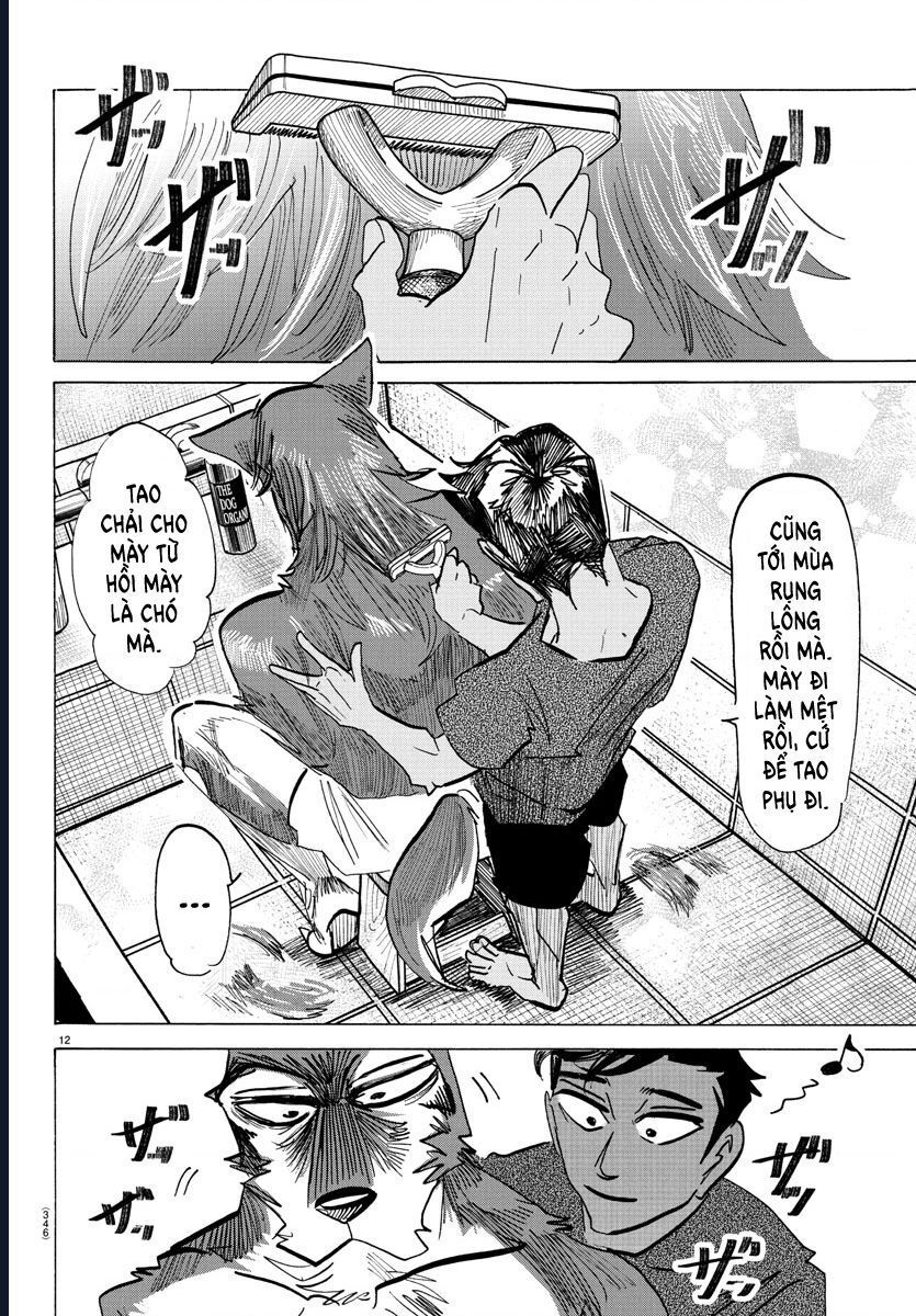 Lý Trí Của Taika - Chapter 30 - Page 11