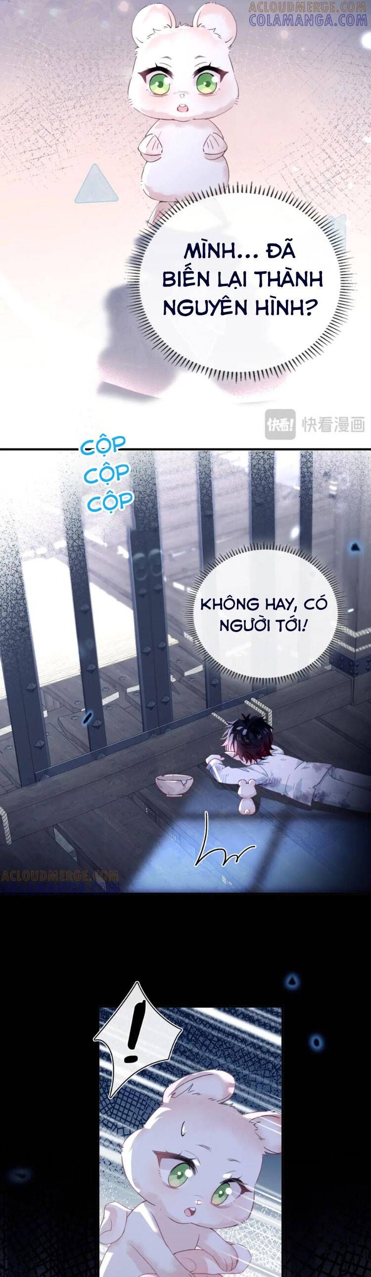 Cạm Bẫy Của Hắn - Chapter 27 - Page 6