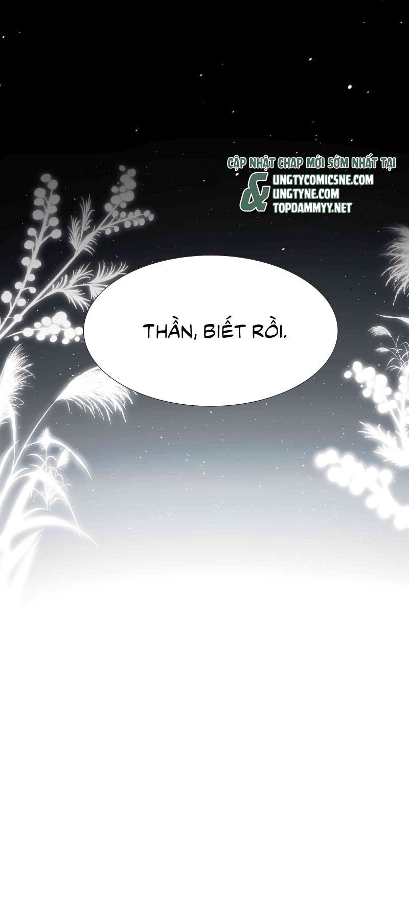 Kim Phong Ngọc Lộ - Chapter 29 - Page 19