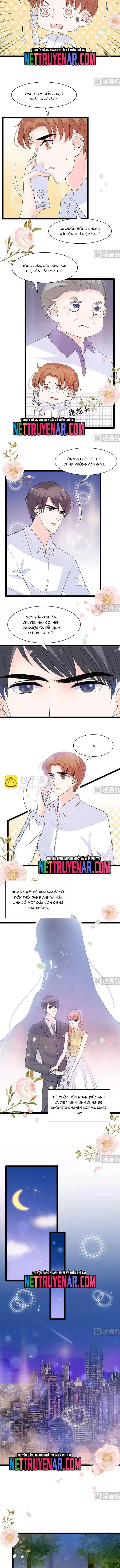 Chu Tiên Sinh, Ép Cưới Phạm Pháp Đó - Chapter 55 - Page 3