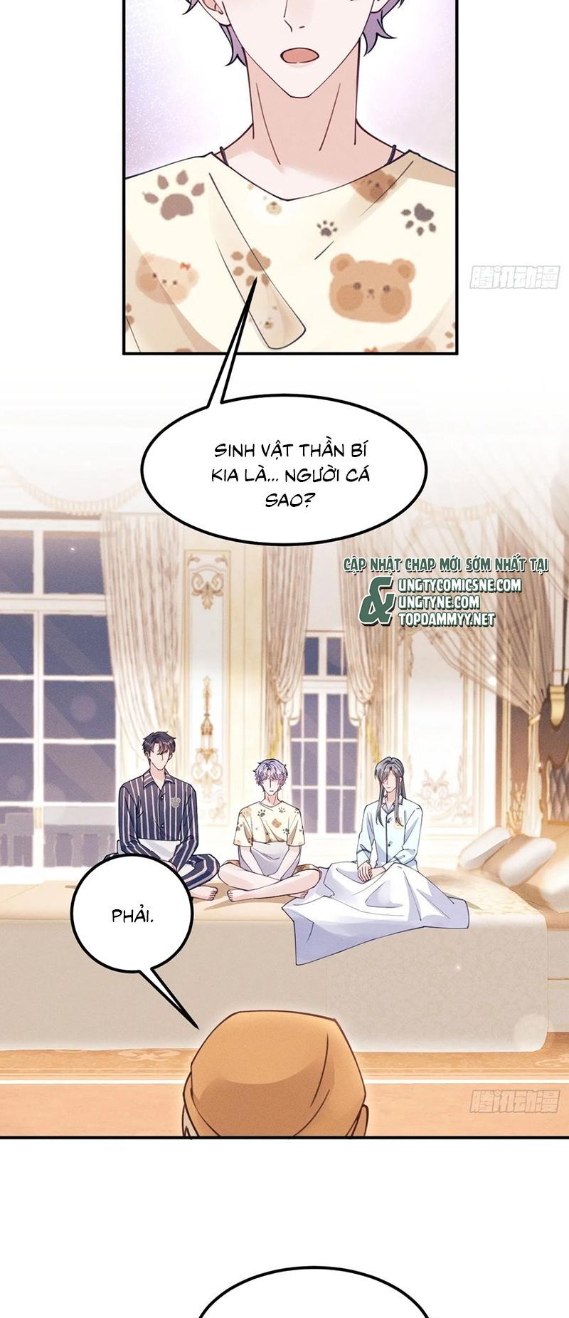 Tôi Hoài Nghi Ảnh Đế Đang Theo Đuổi Tôi Chapter 200 - Trang 19